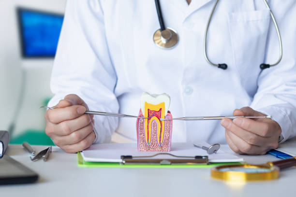 Best Emergency Dentist for Lost Fillings or Crowns in Swartz Creek, MI